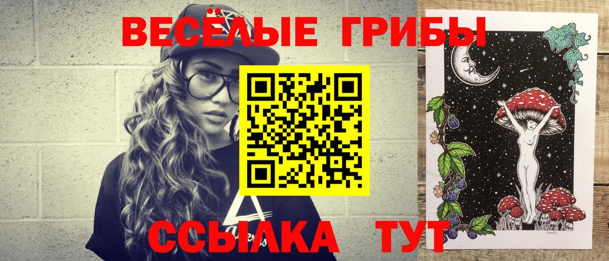 Псилоцибиновые грибы GOLDEN TEACHER Ставрополь