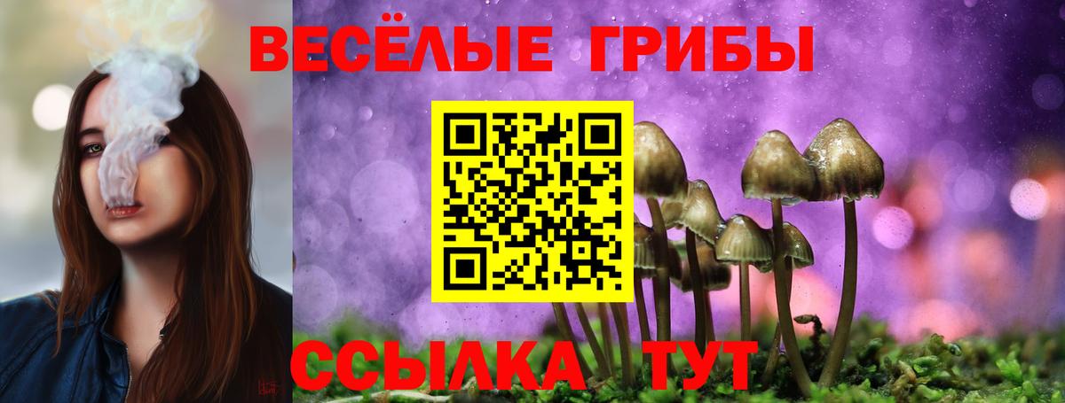 Галлюциногенные грибы Cubensis  Галлюциногенные грибы Cubensis  Ставрополь  Вход с VPN 
